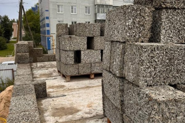 Вы всё ещё живёте в муравейнике?