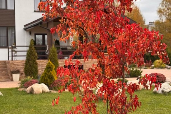 Источник счастья