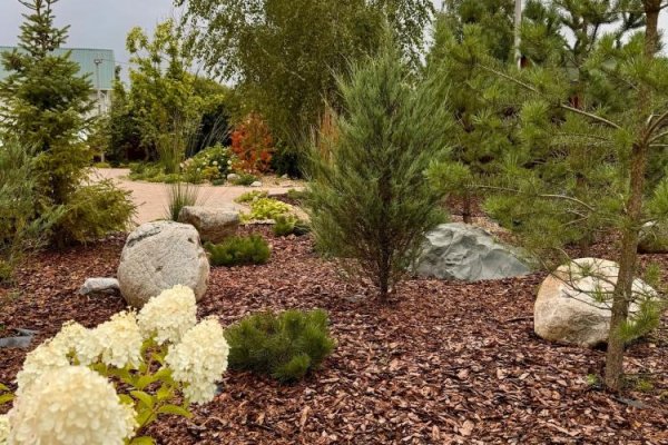 5 правил для зоны костра