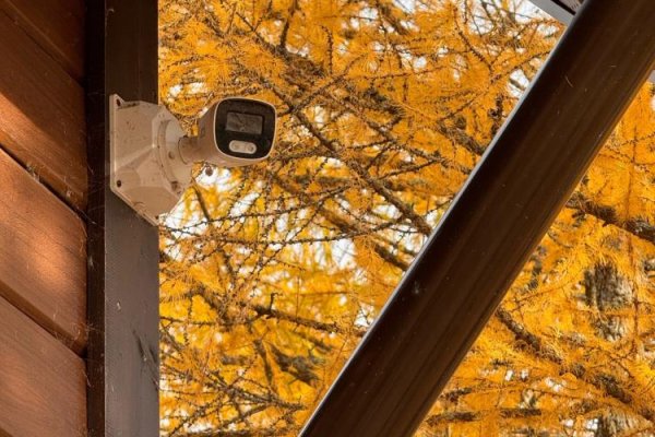 Как защитить дом от злоумышленников