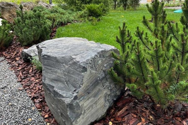 Модный приговор для участка